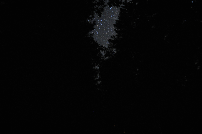 It’s hard to take pictures in near complete-darkness without a tripod, but this gives some idea of the stars between the treetops.